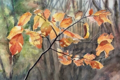 005-Princeton-autumn-leaves