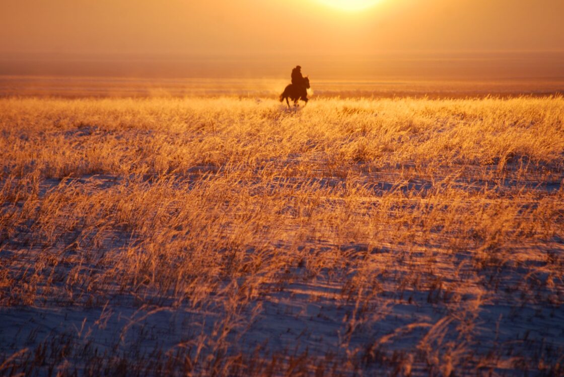 Political Vagabonds of the Steppe and Their Influence on Modern Eurasia ...